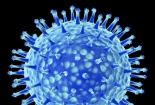 Nhân loại đứng trước hiểm họa virus cúm mới